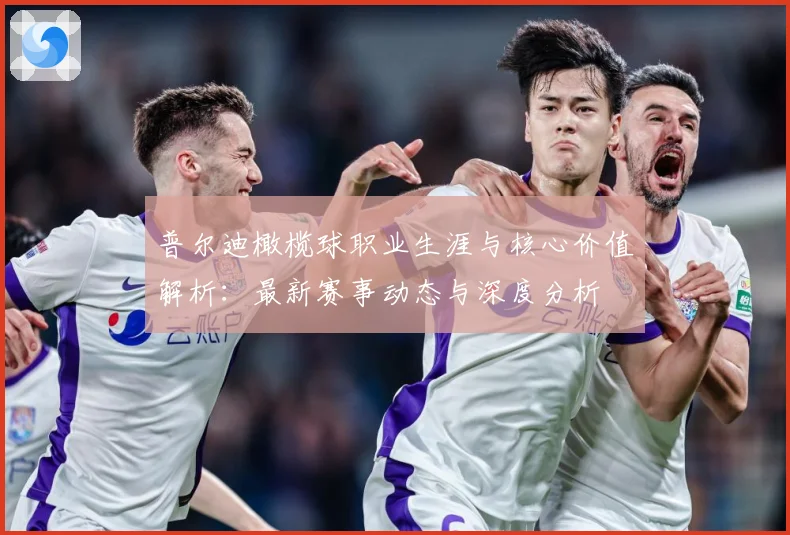 普尔迪橄榄球职业生涯与核心价值解析：最新赛事动态与深度分析